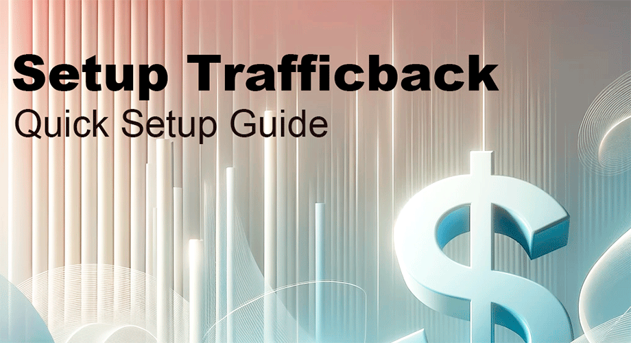 How to setup Trafficback URL. Guide.